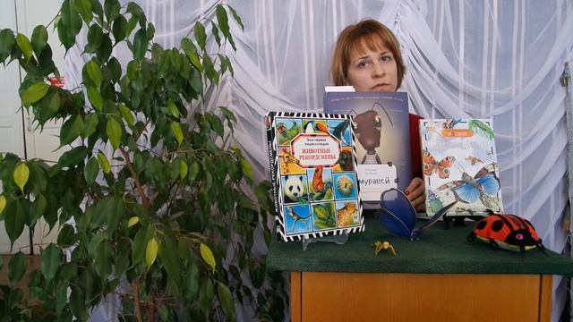 Видеообзор книги К. Лученко «Я Муравей». Библиотека №17 смотреть онлайн