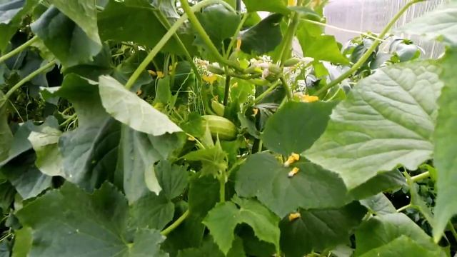 20 июля 2022 г..mp4 смотреть онлайн