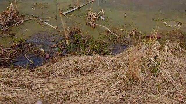 Ивановская область: поселок Лежнево / Путешествие, плотина, самый грязный город России смотреть онлайн