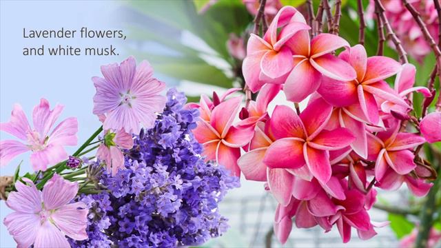 Tiare Flowers Fragrance Oil- Natures Garden смотреть онлайн