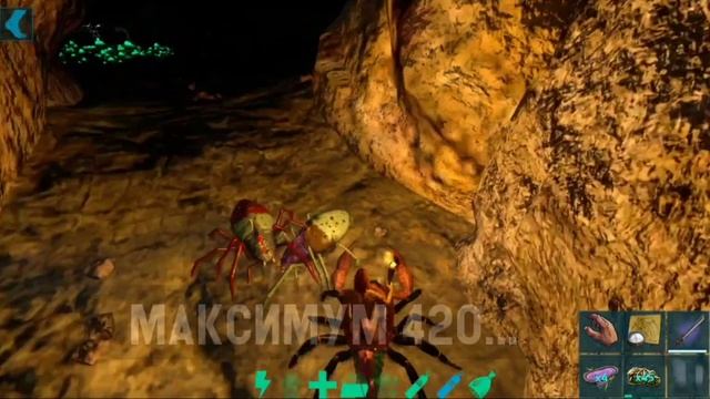 ЛУЧШЕЕ ПРИРУЧЕНИЕ АРАНЕО В ARK MOBILE! #ark #arkmobile #арк #аркмобайл #приручение #taming #trendin смотреть онлайн