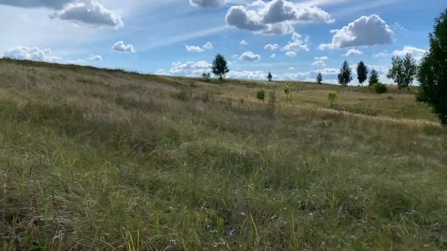 ВЛОГ ПРИЕХАЛИ С ОТДЫХА ДОМОЙ , СБОР УРОЖАЯ , ПОХОД ЗА ГРИБАМИ Семья В Деревне смотреть онлайн