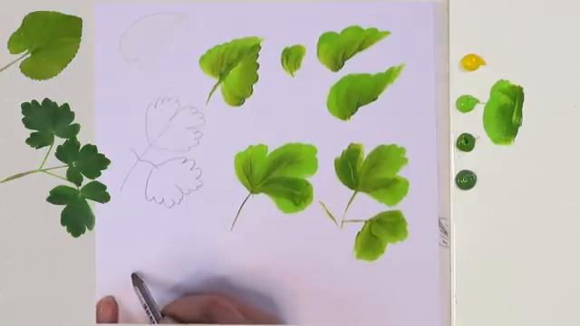 Hojas, Estudio Y Movimientos Del Pincel