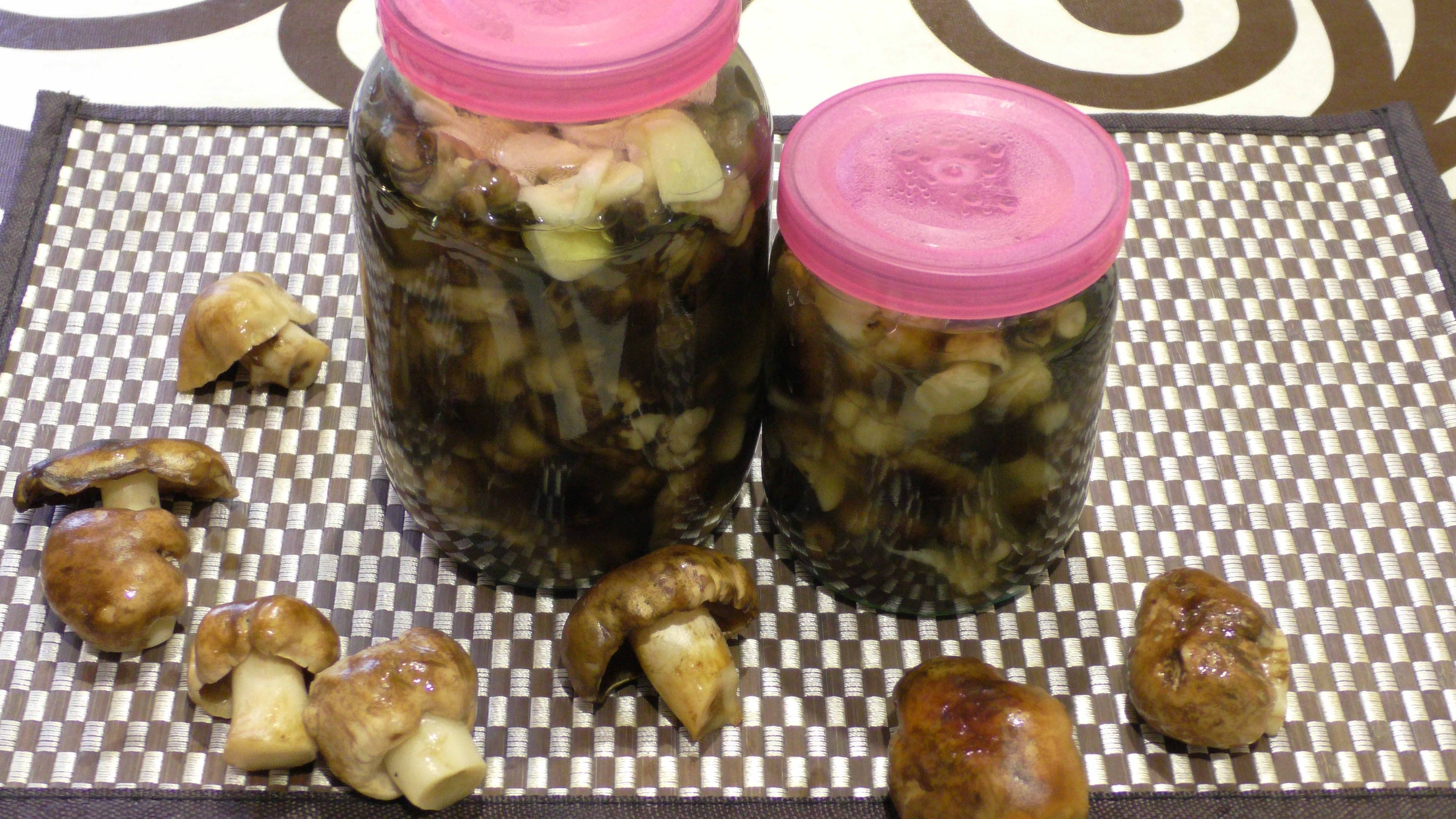 Маринованные грибочки ПОДТОПОЛЬНИКИ. Очень вкусная заготовка на зиму. смотреть онлайн