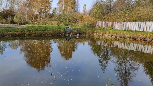 Как очистить пруд от водорослей смотреть онлайн