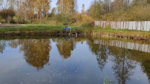 Как очистить пруд от водорослей