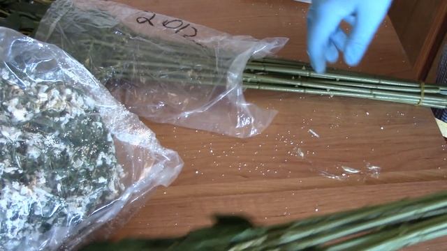 Обзор на флору Аглос• СП Наша КЛАДовочка смотреть онлайн