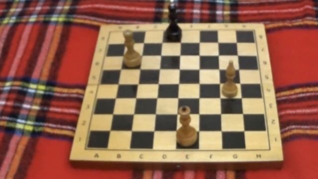 Лука накушался. Челлендж. Задача нашего клуба. Мат Анастасии. Разбор. Шахматы. #challenge #chess24 смотреть онлайн