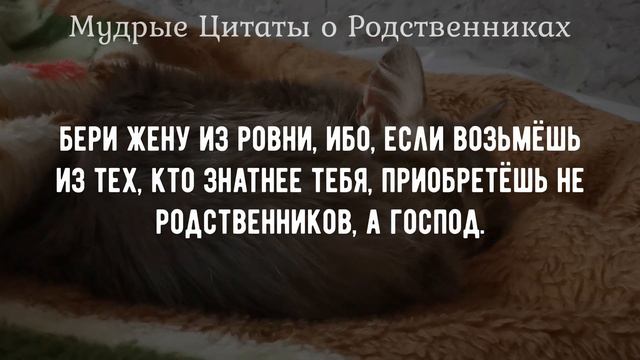 Жаль я Не Знал эти Мудрые слова о Родственниках и Близких Раньше! Как же Точно сказано смотреть онлайн