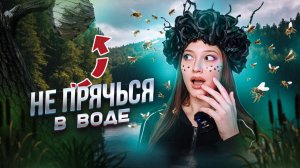 Что будет, если РАЗБИТЬ УЛЕЙ?