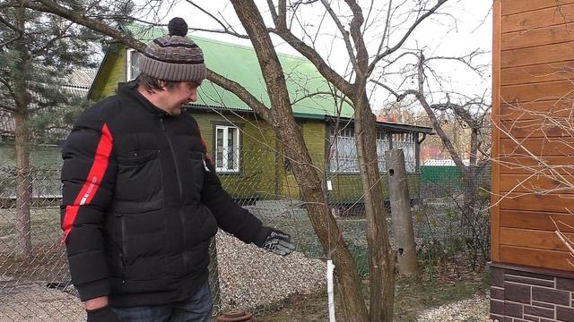 Лучший способ побелки деревьев смотреть онлайн