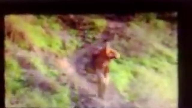 верийский квартал.mp4 смотреть онлайн