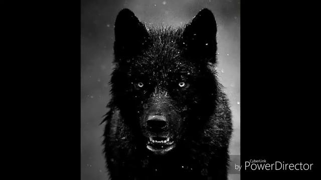 Заставка :3 смотреть онлайн