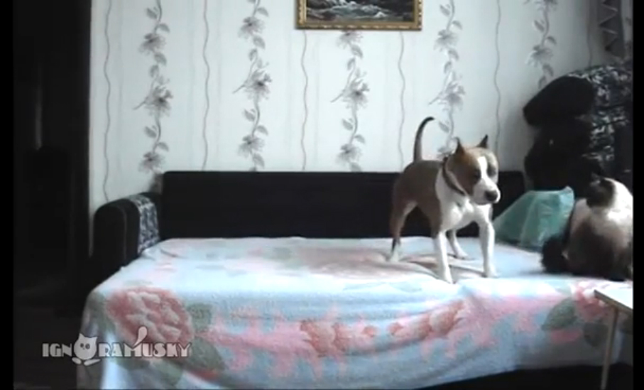 Пока никто не видит смотреть онлайн