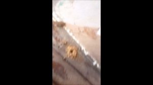 Деревянный пол. Ровняем без вскрытия.