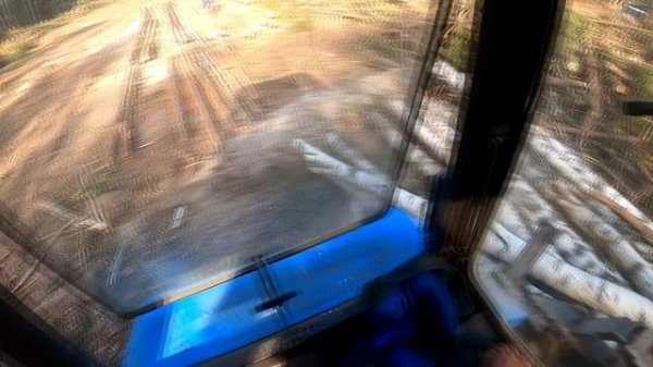 Лесозаготовка от А до Я. 66 кубов на двоих.Трелевка леса на мтз 82.1