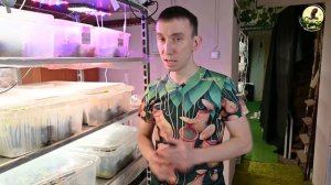Первая поставка редких Непентесов с Борнео