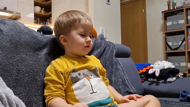 Рассказываем сказку "Гуси-лебеди", часть 3. 2 года и 3 месяца, 01.02.22 смотреть онлайн