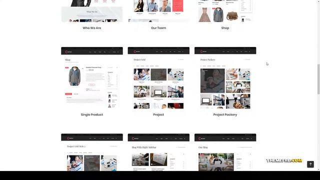 Castor - Business Consulting WordPress Theme company financial Reon смотреть онлайн