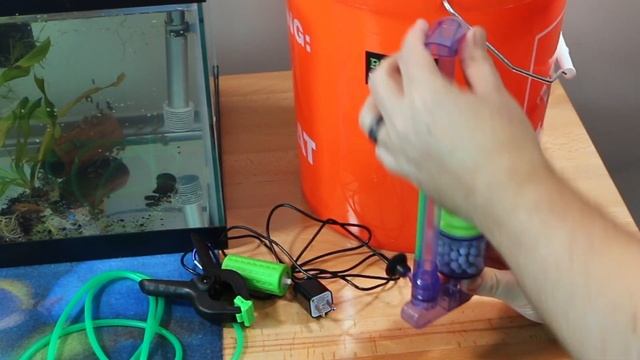5 Gallon BUCKET AQUARIUM смотреть онлайн