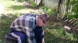 Культиватор электрический - доработка до рабочего состояния