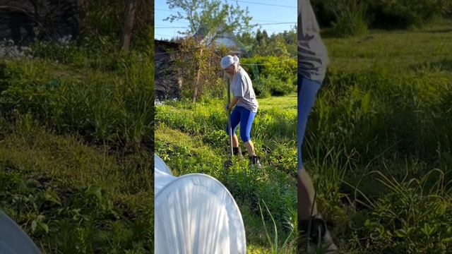 «Страшный» сон 😁😅 смотреть онлайн