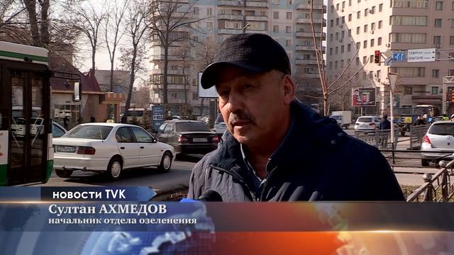 В Шымкенте началась посадка городских цветов смотреть онлайн