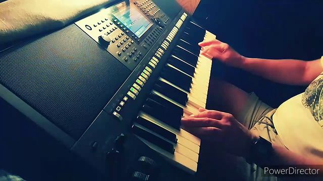 Stevie Wonder - Lately (1980) cover by Zibi on the Yamaha s-770 смотреть онлайн