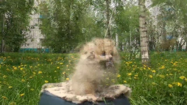 БРЮС 15 05 2016 смотреть онлайн