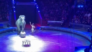 Цирк на Проспекте Вернадского, шоу Страшная сила, слоны, братья Запашные