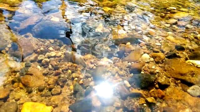 Нерест миноги смотреть онлайн