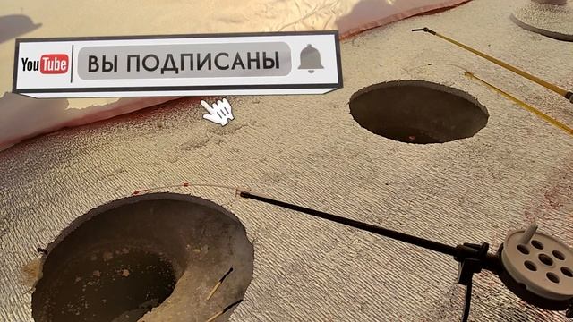 #уелги #карась #fishing Зимняя рыбалка на карася озеро уелги на мормышку на мотыля в палатке смотреть онлайн