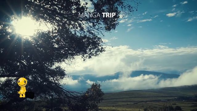 My African Life | Pemba Island Zanzibar 2022 смотреть онлайн