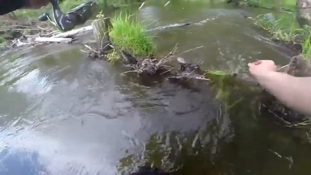 Подмосковная рыбалка