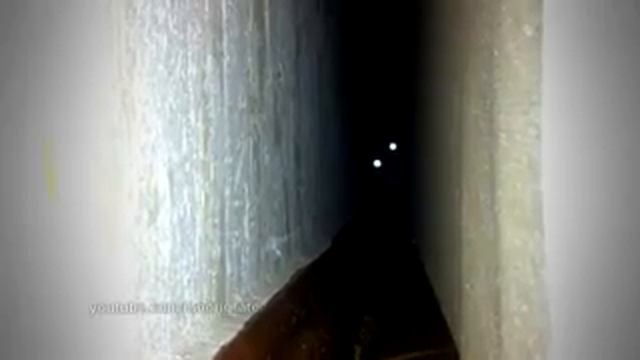 Кот скример смотреть онлайн