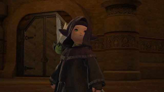 🌱 Final Fantasy XIV Online #63 | РАДИ ЧЕГО МЫ СРАЖАЕМСЯ? | 13.09.23