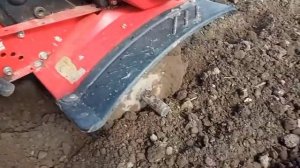 плюсы и минусы узких грунтозацепов на культиваторе