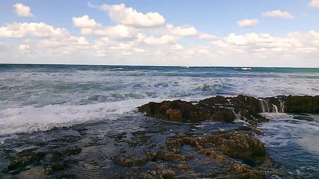 Ocean Waves 15/01/2024 & Хореографический коллектив
