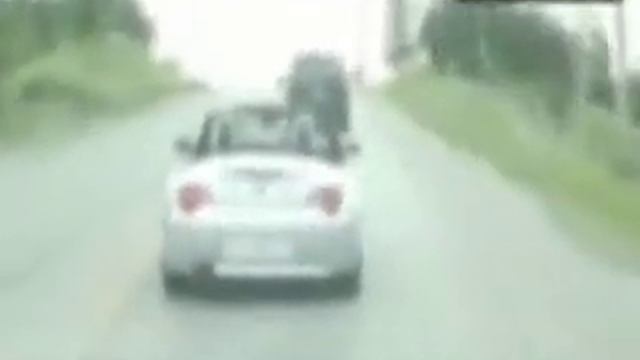 idiot rednecks got owned =P смотреть онлайн