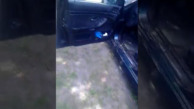 Через що так димить м 51 2,5 тдс бмв смотреть онлайн
