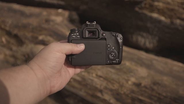 Canon 77D vs 600D: Which Camera is Better for You? смотреть онлайн