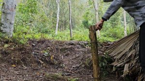 Single mother - Harvesting cassava to sell at the market. Complete the kitchen with bamboo
