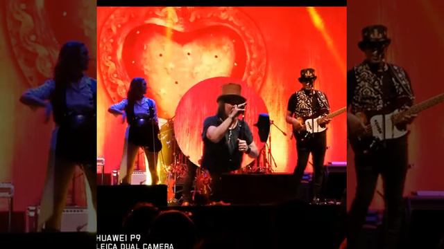 Wonderful life, Zucchero смотреть онлайн
