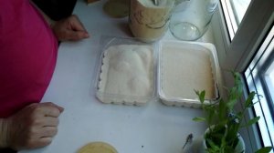 Сушим цветы объёмно в манке для эпоксидки