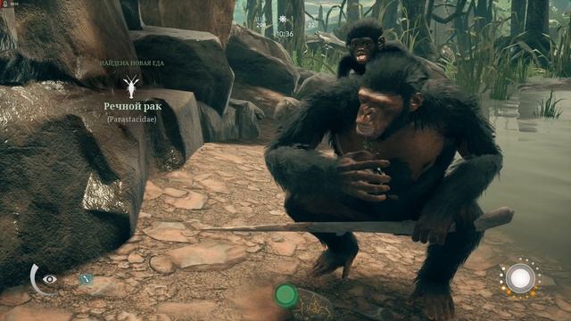 УРОКИ ПРЯМОХОЖДЕНИЯ:  Ancestors: The Humankind Odyssey #16