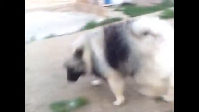 глаша 3 смотреть онлайн