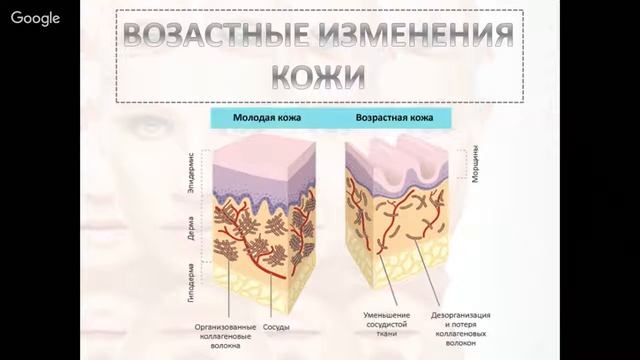 предложения омоложения смотреть онлайн