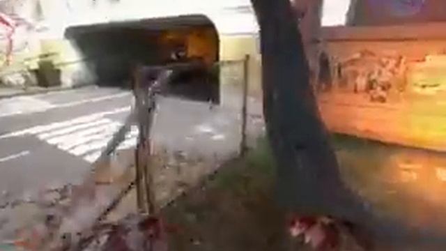 Обзор Zombie Panic Source2
