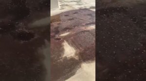 Жидкая кровля WHITEBASE отзывы