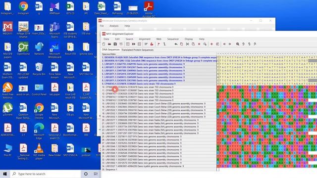 Phylogenetic Analysis by using MEGA 11 Part 1 смотреть онлайн
